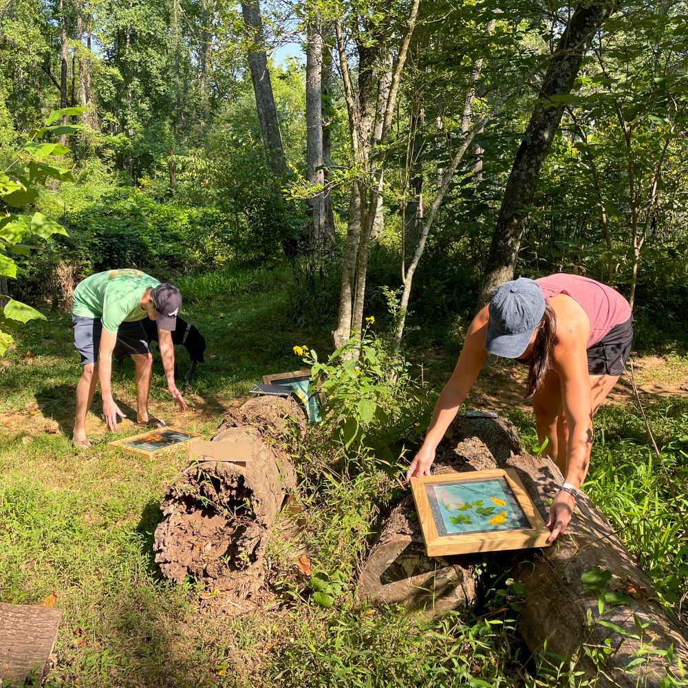 Introduction to Cyanotype Workshop with Eric Carroll on March 14 - Image 5