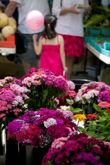 Photo 102 6-Week Class with Monica Stevenson, Tuesdays, 6 - 9pm - Image 3