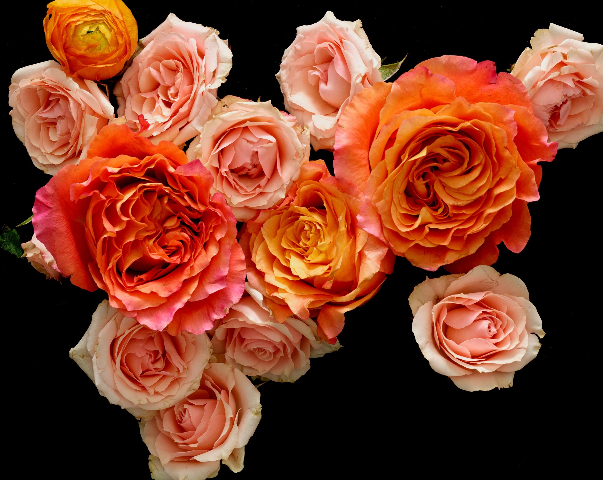 Mastering Light and Composition: intermediate photography workshop with Monica Stevenson, December 5, 12, & 19 - Image 4